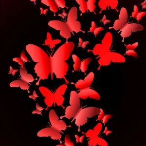 Meet your Posher, Sultana